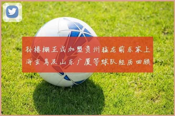 孙椿棚正式加盟贵州猛龙前东家上海玄鸟及山东广厦等球队经历回顾