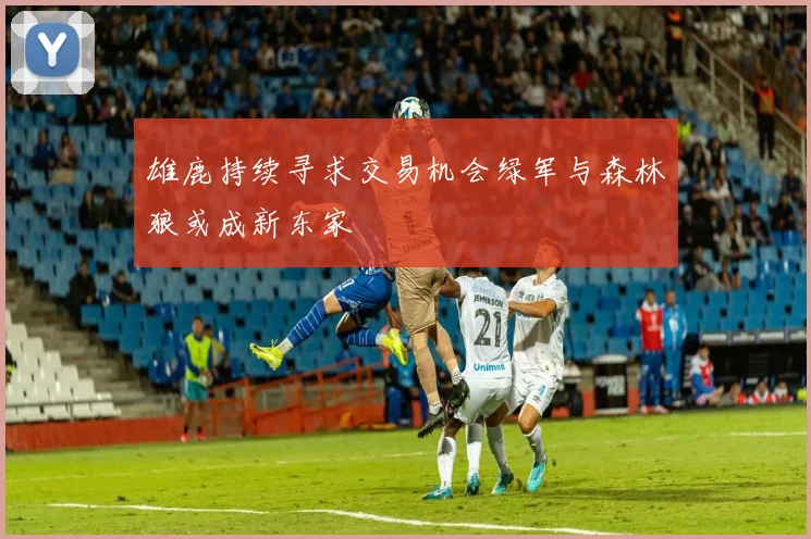 雄鹿持续寻求交易机会绿军与森林狼或成新东家